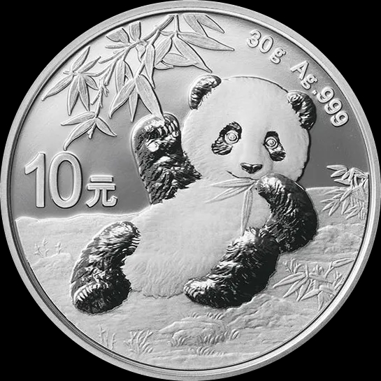 Chińska Panda 30g srebra 2020 - image 1