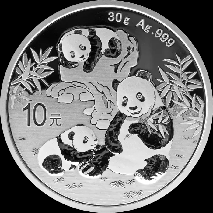 Chińska Panda 30g srebra 2025 - image 1