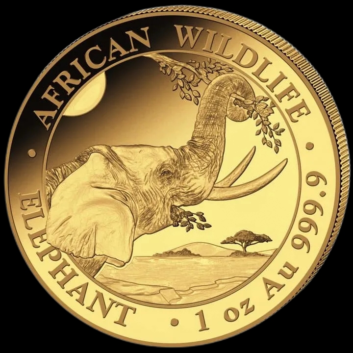 African Wildlife: Słoń Somalijski 1 uncja złota 2023 - image 1