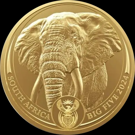 Big Five Słoń 1 uncja złota Losowe Lata - image 1