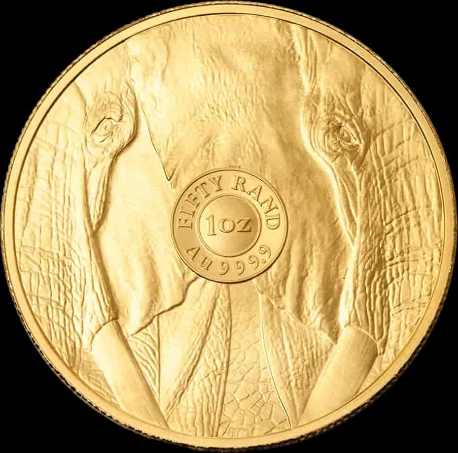 Big Five Słoń 1 uncja złota 2025 - image 2