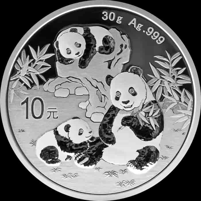 Chińska Panda 30g srebra 2025 - image 1