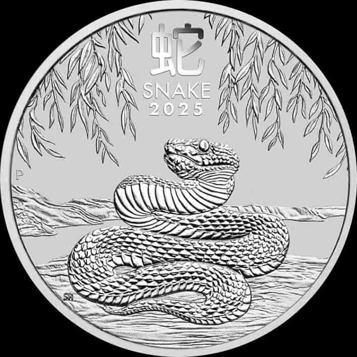 Lunar III Rok Węża 1000g srebra 2025 - image 1