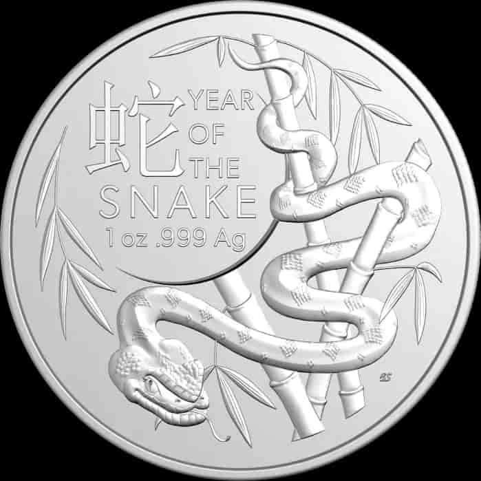 Lunar RAM Rok Węża 1 uncja srebra 2025 - image 1