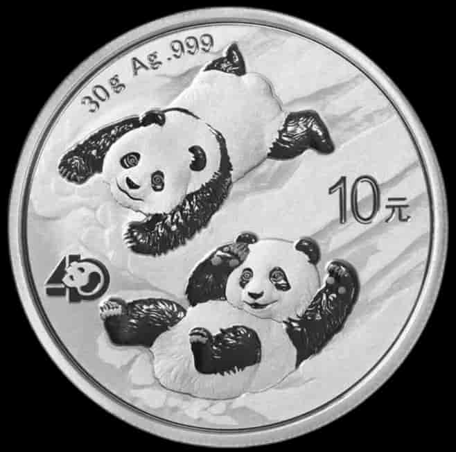 Chińska Panda 30g srebra 2022 - image 1