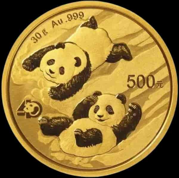 Chińska Panda 30g złota 2022 - image 1