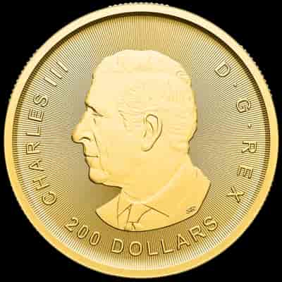 Klondike Gorączka Złota 1 uncja złota 2024 - image 2
