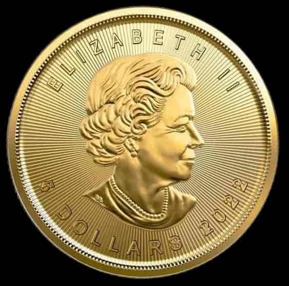 Kanadyjski Liść Klonowy 1/10 uncji złota Losowe Lata - image 2
