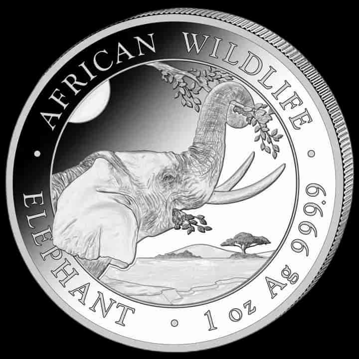 African Wildlife Słoń Somalijski 1 uncja srebra 2023 - image 1