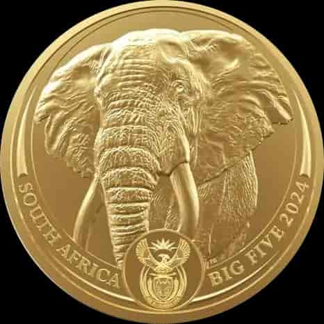 Big Five Słoń 1 uncja złota Losowe Lata - image 1