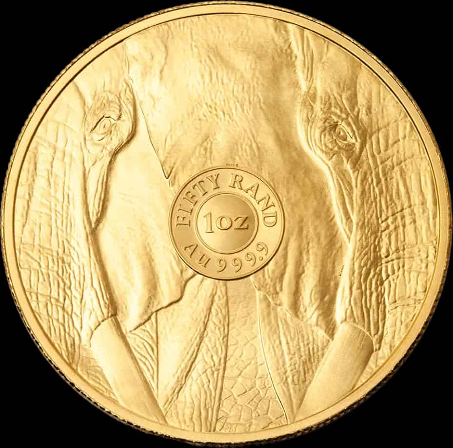 Big Five Słoń 1 uncja złota 2025 - image 2