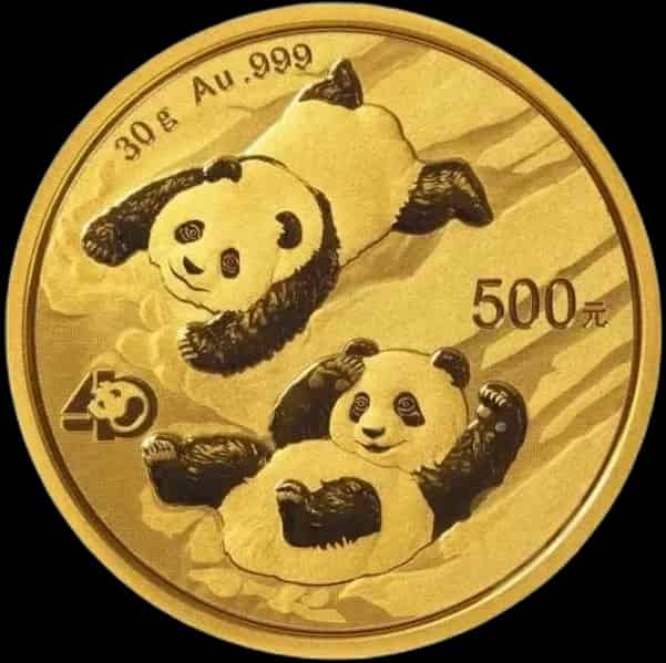 Chińska Panda 30g złota 2022 - image 1
